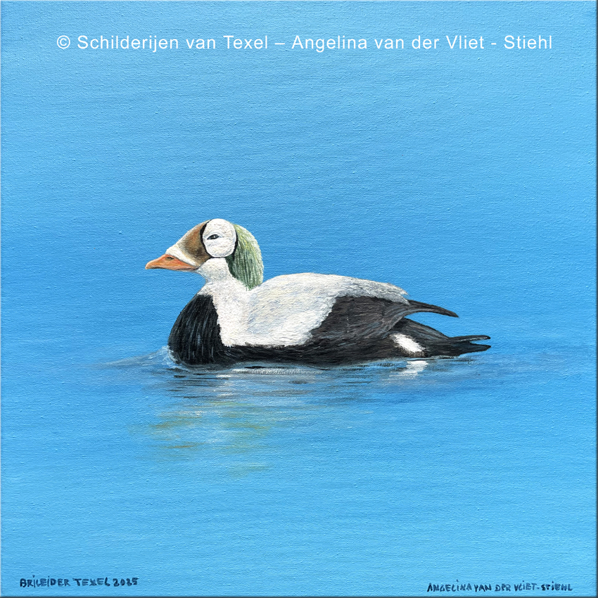 Schilderijen van Texel met de Brileider op Texel door Angelina van der Vliet - Stiehl